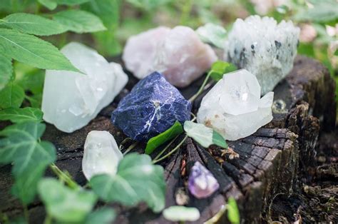 The Art of Potions: Crafting Magical Brews with Plants from Your Witch Garden